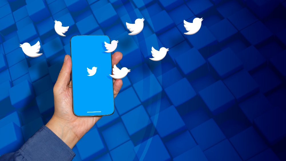 Twitter Marketing for WordPress Users: Amplify Your Voice